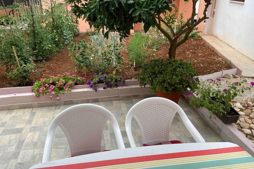 Manuel Apartment Korcula Town Exterior photo